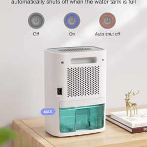 CLEVAST Small Dehumidifier for Home - 30 OZ