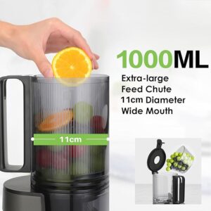 Cold Press Juicer for Whole Fruits